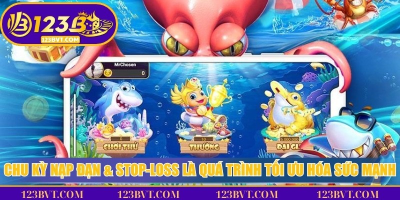 Chu kỳ nạp đạn & stop-loss là quá trình tối ưu hóa sức mạnh