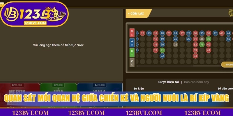 Quan sát mối quan hệ giữa chiến kê và người nuôi là bí kíp vàng