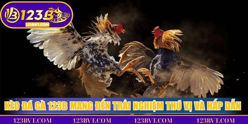 Kèo đá gà 123B mang đến trải nghiệm thú vị và hấp dẫn khó quên