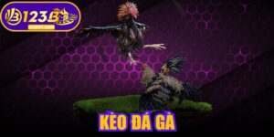 Kèo Đá Gà