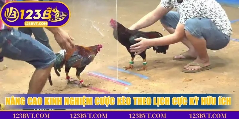 Nâng cao kinh nghiệm cược kèo theo lịch cực kỳ hữu ích với bet thủ