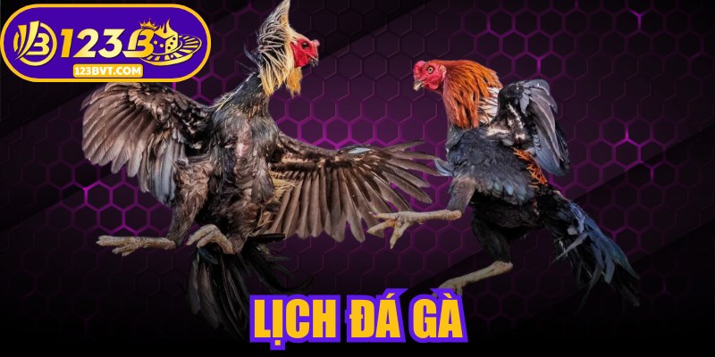 Lịch Đá Gà