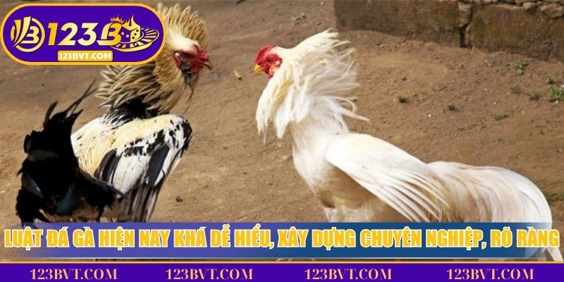 Luật đá gà hiện nay khá dễ hiểu, xây dựng chuyên nghiệp, rõ ràng