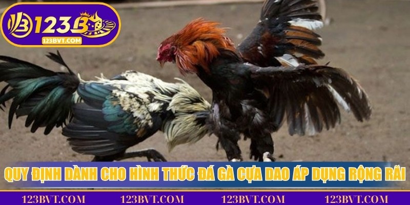 Quy định dành cho hình thức đá gà cựa dao áp dụng rộng rãi