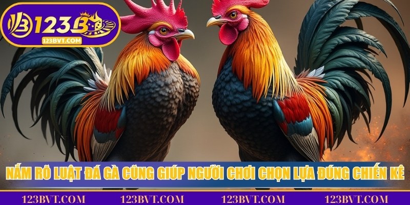 Nắm rõ luật đá gà cũng giúp người chơi chọn lựa đúng chiến kê