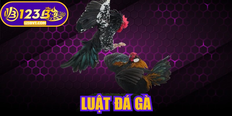 Luật Đá Gà