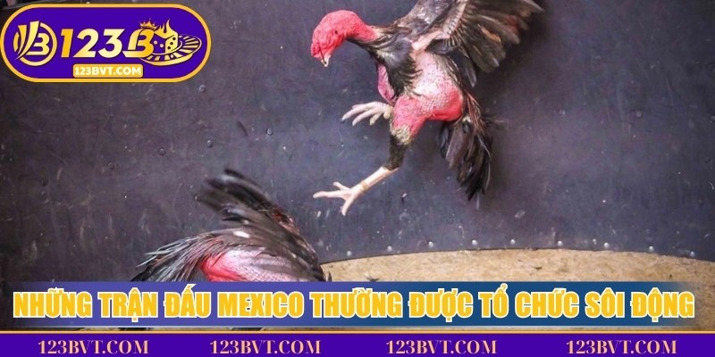 Những trận đấu Mexico thường được tổ chức sôi động và náo nhiệt