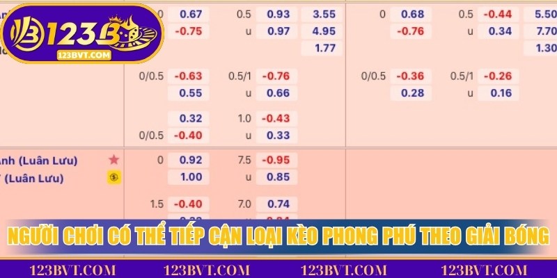 Người chơi có thể tiếp cận nhiều loại kèo phong phú theo giải bóng