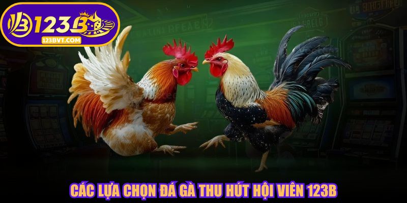 Các lựa chọn đá gà thu hút hội viên 123B