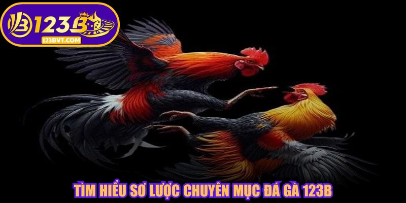 Tìm hiểu sơ lược chuyên mục đá gà 123B